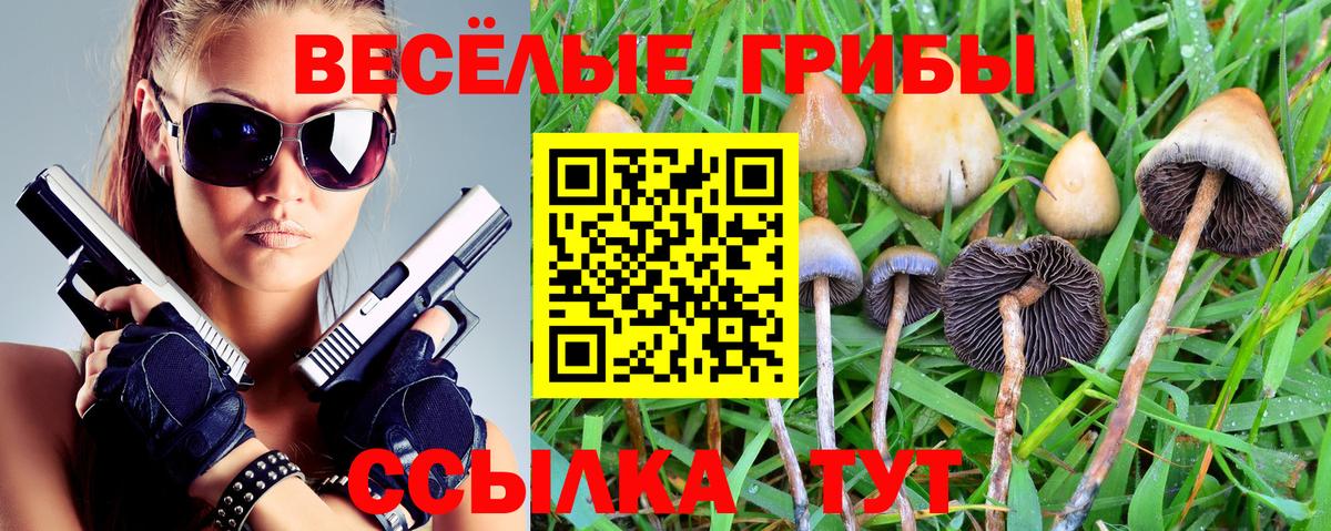 хочу наркоту  Псилоцибиновые грибы Psilocybine cubensis  Галлюциногенные грибы ЛСД  Вход с VPN  Моздок 