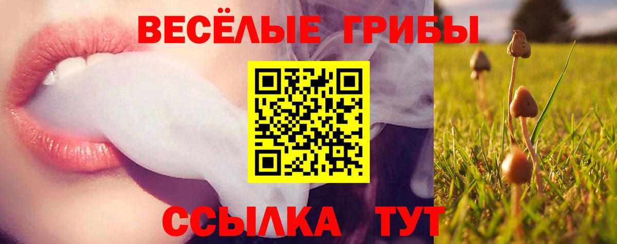 Галлюциногенные грибы GOLDEN TEACHER Моздок